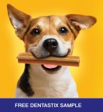 Free Pedigree DENTAstix Sample for your PET