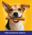 Free Pedigree DENTAstix Sample for your PET